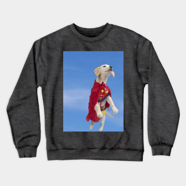 Super Puppy Crewneck Sweatshirt by Adams